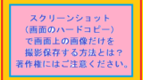 スクリーンショット画像のみ