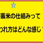 備蓄米の仕組みアイキャッチ画像