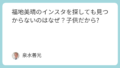Featured image 13737 723366d6edf6016023640f47ec16420e.png